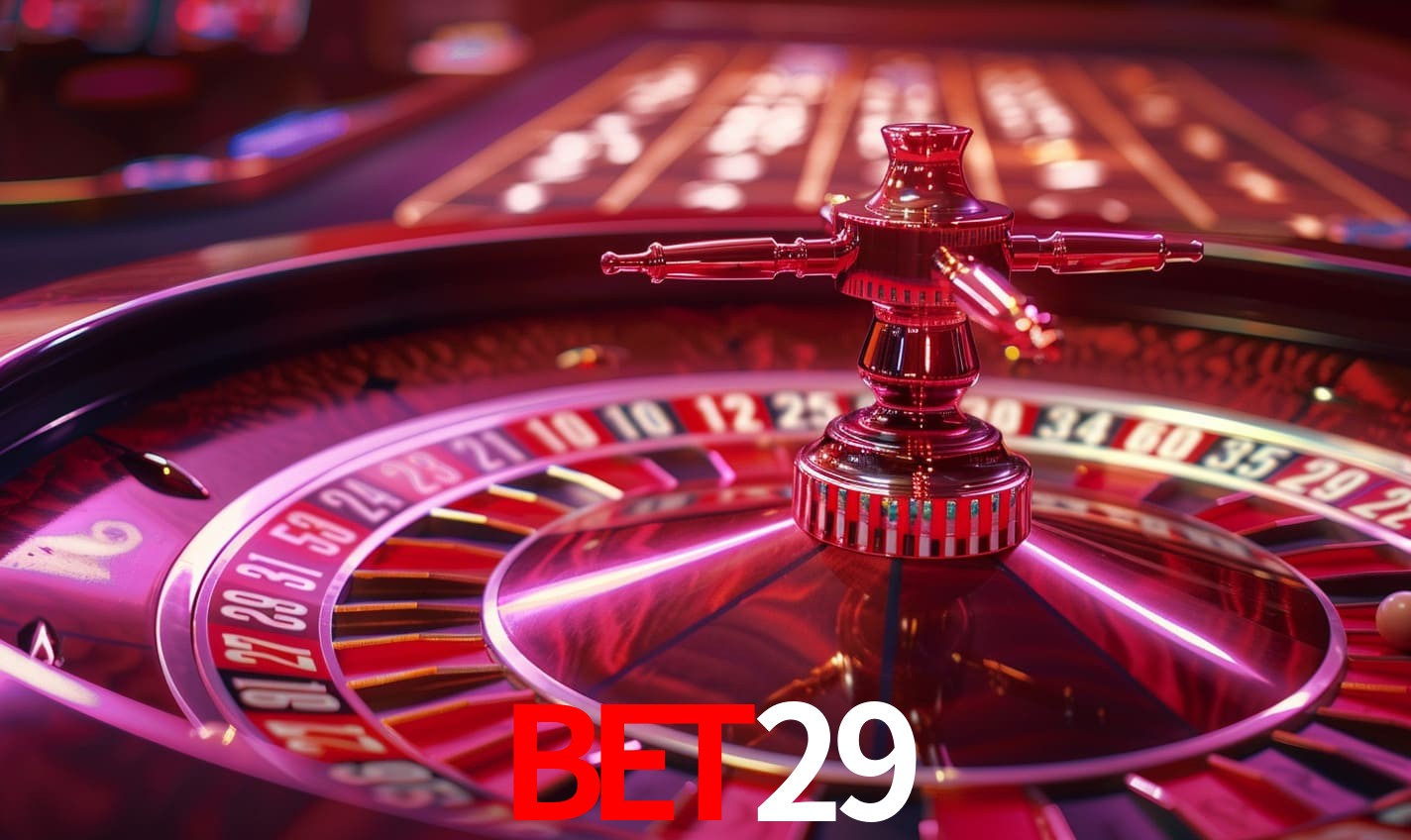 Programa VIP bet29
